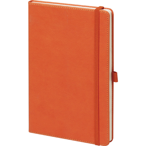 CEVIZLI-13 Cevizli Tarihsiz Defter