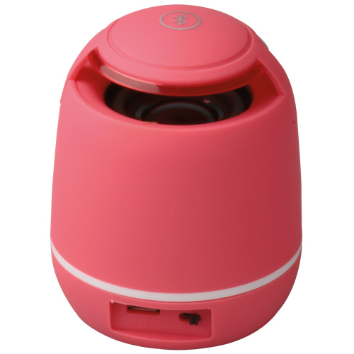 Speaker
