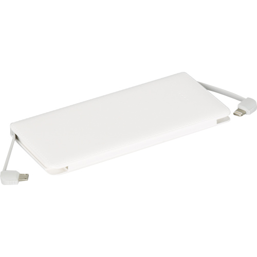 Powerbank
