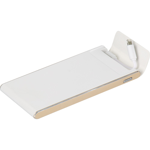 Powerbank